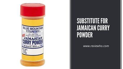 Substitute For Jamaican Curry Powder | Reviewho