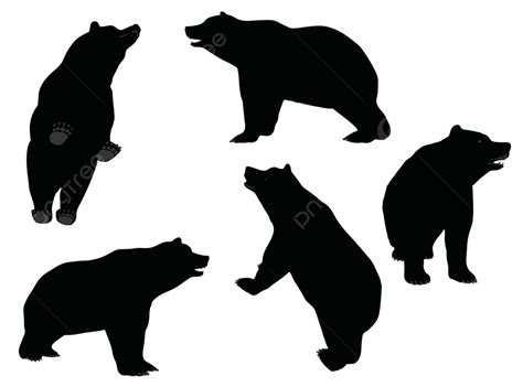 Ilustración Vectorial De Oso Silueta Animal Fondo Blanco Posando Vector