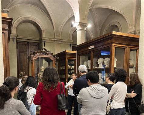 Visita Museo Di Anatomia Umana Luigi Rolando Universit Di Torino