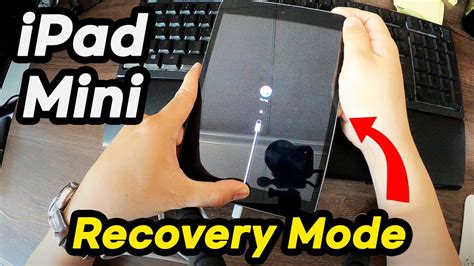 How To Reset Ipad Mini A Without Passcode Ipad Is Disabled Fix