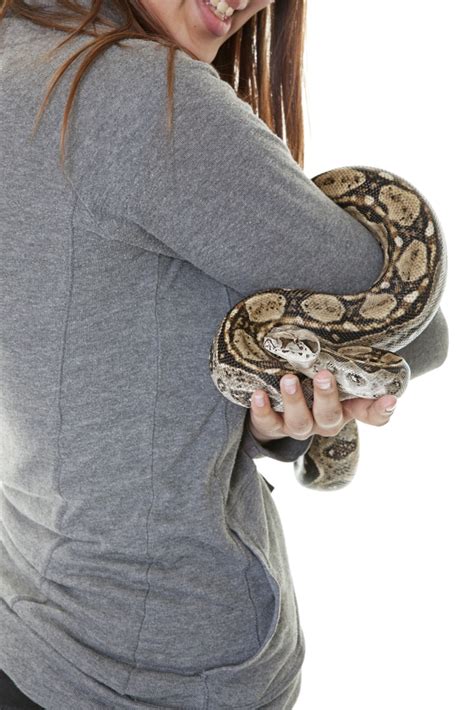 How To Hold A Snake The Right Way Reptile Advisor