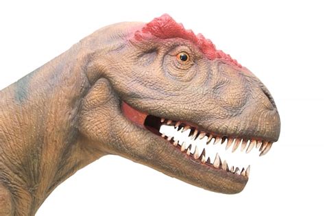 Premium Photo | Close up of dinosaur head