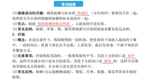 第七单元 第一章 生物的生殖和发育 2023年中考生物复习课件（人教版）共22张ppt21世纪教育网 二一教育