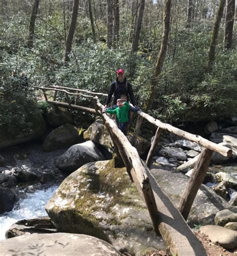 Porters Creek Trail To Fern Branch Falls Great Smoky Mountain