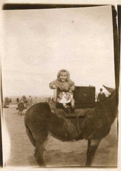 Donkey Rides Bridlington Explore The British Coast