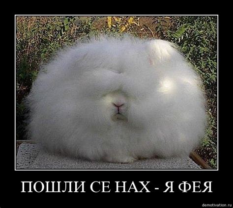 Я вас вижу, вы не работаете!. Обсуждение на LiveInternet - Российский ...