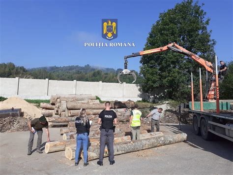 Mafia P Durilor Camion Nc Rcat Cu Lemn Oprit De Poli I Ti