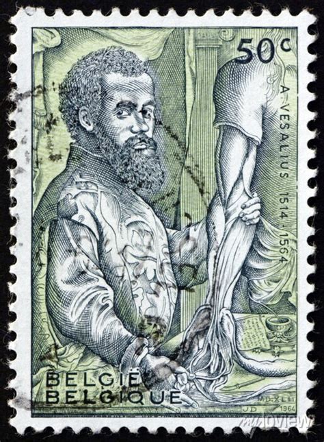 Postage Stamp Belgium 1964 Andreas Vesalius Flemish Anatomist Posters