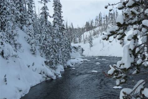 West Yellowstone Winter - A Photo Essay - ASocialNomad