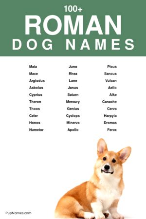 100+ Roman Dog Names (+ Meanings) | PupNames.com™