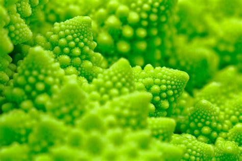 Macro Romanesco Broccoli By Somadjinn On Deviantart