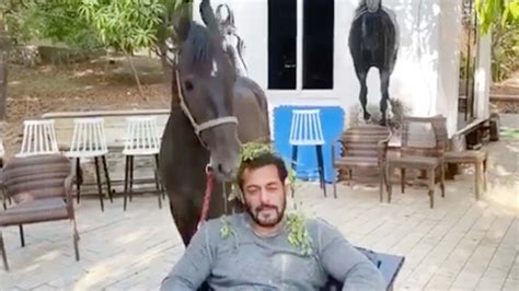 17 inside pictures and videos of Salman Khan’s massive farmhouse in ...