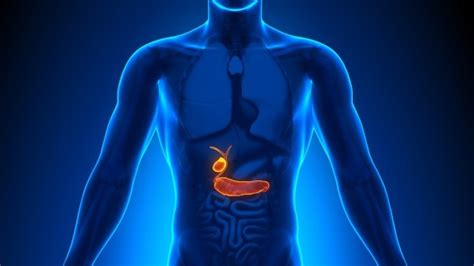 Gallbladder Removal What Do I Need To Know