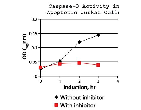 Caspase 8 Colorimetric Activity Assay Kit IETD Caspase 8 Colorimetric