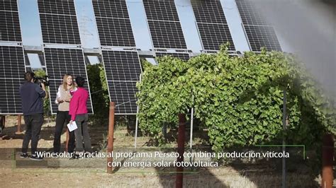 Instalar La Primera Planta Agrovoltaica Inteligente En Espa A El Nuevo