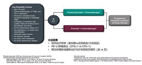 三阴性乳腺癌免疫治疗概览 2月10日，《新英格兰医学杂志》（nejm）发表了keytruda（k药）联合化疗治疗高危早期三阴性乳腺癌tnbc