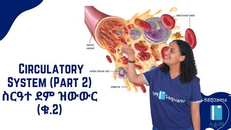 Grade General Science Unit Circulatory System Part Functions And