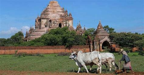 Porn Video Shot At Myanmar S Best Known Tourist Hotspot Bagan Sparks