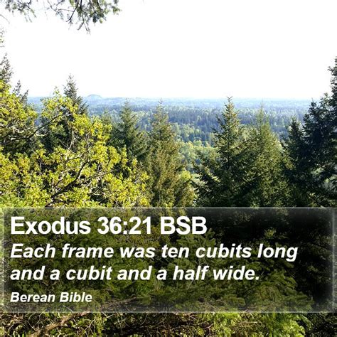 Exodus 3621 Bsb Each Frame Was Ten Cubits Long And A Cubit And A