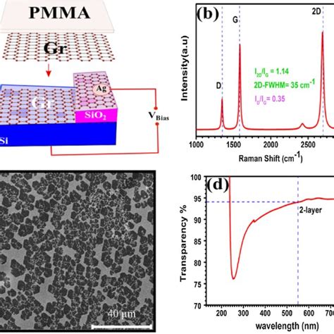 A The Schematic Structures Of The Gr P Si Photodetector Denoted As B Download Scientific