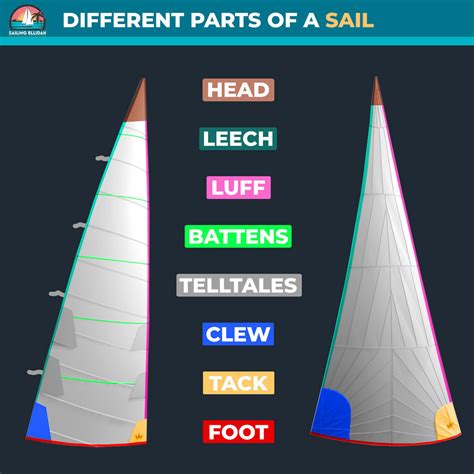 The Genoa Sail Explained: A Complete Guide