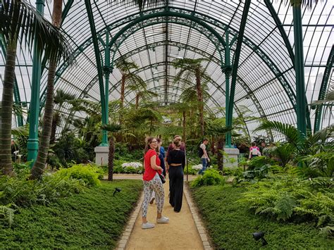 Visiting the Royal Greenhouses of Laeken - Wandering the World