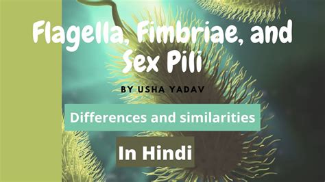 Differences Vs Similarities In Case Of Flagella Fimbriae And Sex Pili