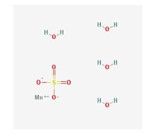 Manganese II Sulfate Tetrahydrate CAS 10101 68 5 SCBT Santa Cruz