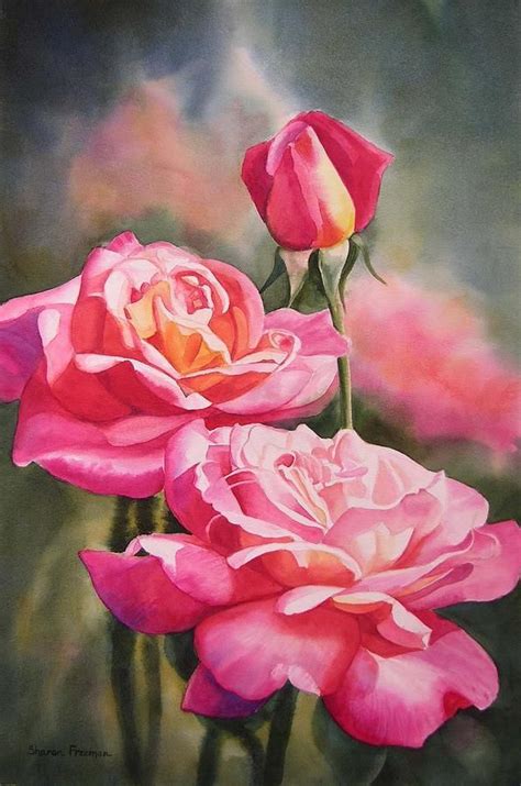 Blushing Roses With Bud By Sharon Freeman Watercolor Rose Flower