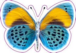 Blue And Yellow Butterfly Sticker