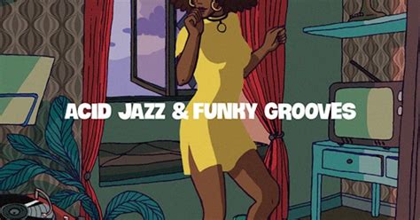 Various Artists Acid Jazz And Funky Grooves