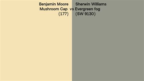 Benjamin Moore Mushroom Cap 177 Vs Sherwin Williams Evergreen Fog SW