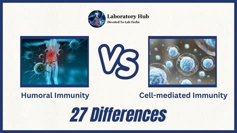 27 Differences Humoral Vs Cell Mediated Immunity Laboratory Hub