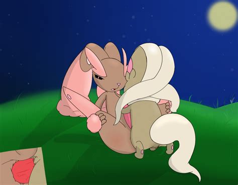 Rule 34 Anal Anal Sex Chinchilla Cinccino Fur Furry Lopunny Male Only Penis Pokémon Species