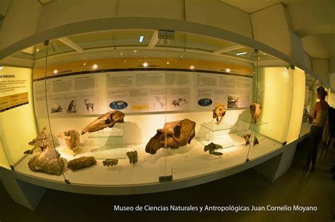 Fue reabierto el Museo de Ciencias Naturales y Antropológicas Juan