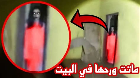 ظهور جنية طائرة ولعياذ بالله شوفو ايش سوت مع المغامر حارث Horror Adventure Youtube