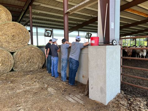 2022 Beef Feedlot Tour Innovative Ag Services