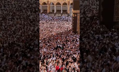 Hajj Live Viral Video Arafah Mina Makkah Mecca Labaik