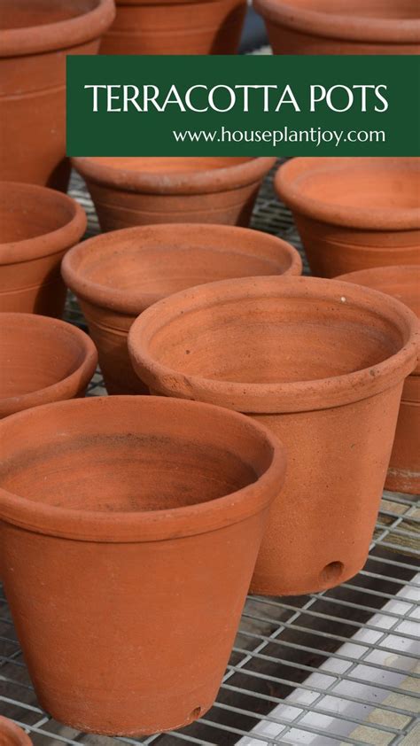 Terracotta Plant Pots