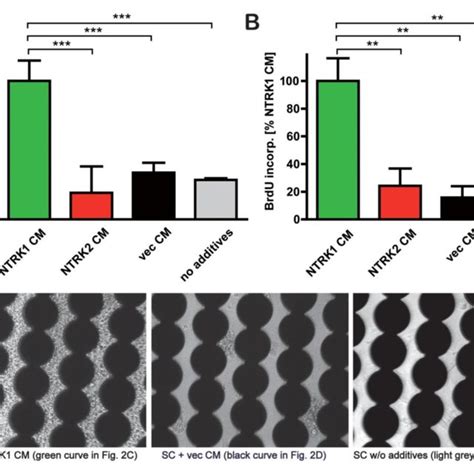 Figure S Ntrk Expressing Neuroblastoma Cells Sustain Schwann Cell