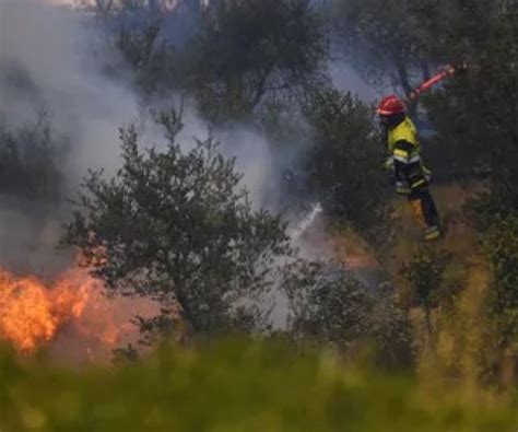 Notícias Cientistas afirmam que ondas de calor na Europa e nos EUA