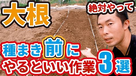 【大根の育て方】種まきする前に絶対にやると良い作業3選【家庭菜園】 Youtube