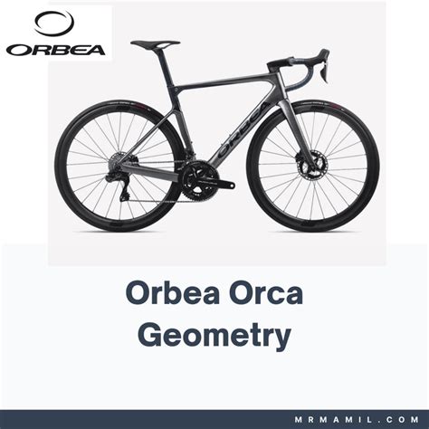 Orbea Orca Frame Geometry Mr Mamil