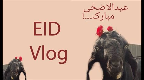 Eid Mubarak Eid Ul Adha Vlog Chand Raat Eid Vlog Azeenbasics