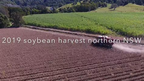 2019 Soybean Harvest Australia Youtube