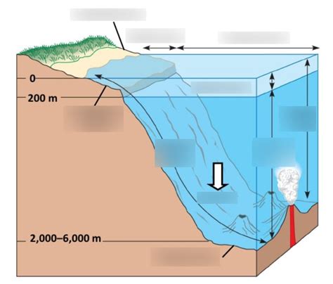 Ocean Zones, lake zones Diagram | Quizlet