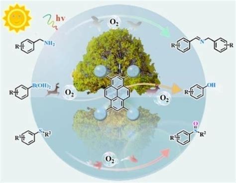 基于芘的 Da 分子作为高效多相催化剂用于可见光诱导的好氧有机转化chemsuschem X Mol