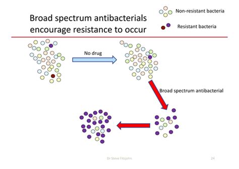 Mechanisms Of Antibiotic Resistance Flashcards Quizlet