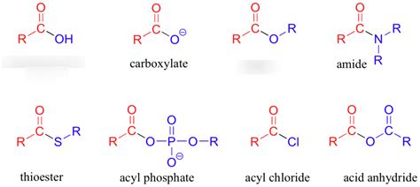 hydrocarbons diagram quizlet