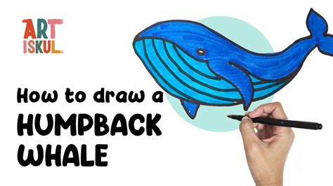 How To Draw A Humpback Whale Easy Drawing Tutorial For Beginners